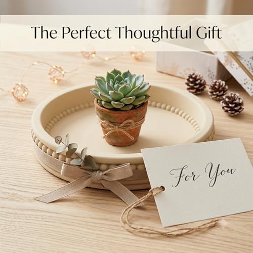 Round Solid Concrete Tray, Fluted Centerpiece for Coffee Table Decor 11"