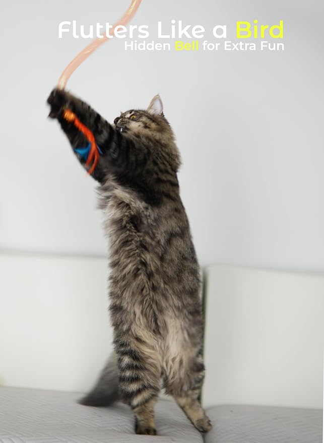 Cat Toys for Indoor Cats, Interactive Cat Wand Toy 3 Pack with Feathers, Mesh Tube, Bell & Pom Pom, Cat Teaser Wand, Cat Fishing Pole Toy for Kittens and Adult Cats