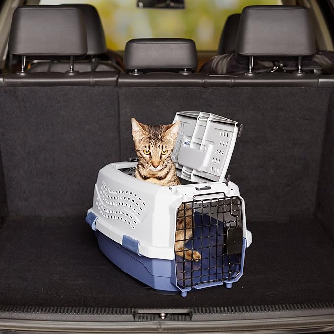Amazon Basics 2-Door Top-Load Hard-Sided Pet Travel Carrier for Cats and Small Dogs, 19" L x 12.6" W x 10" H, Gray & Blue