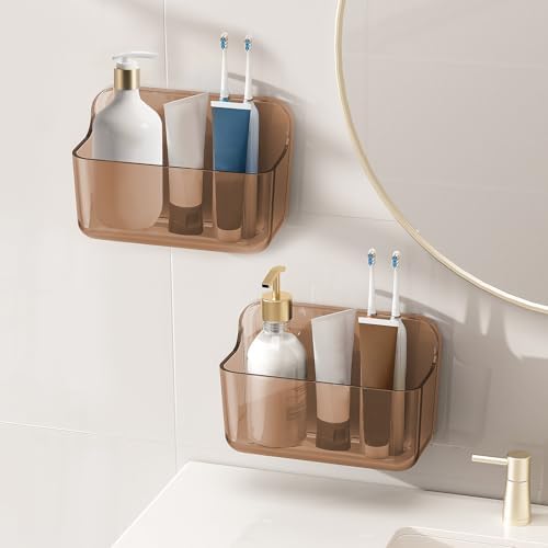 Diesisa Wall Mount Organizer, 2Pc Small Adhesive Cabinet Door Organizer