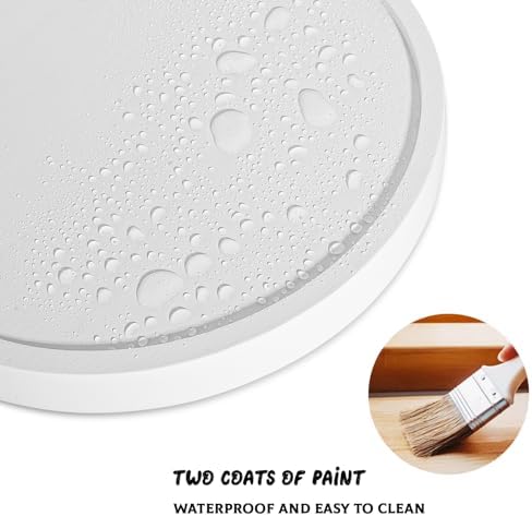 Round Decorative Tray Farmhouse Kitchen Decor Soap Dish, 10" White