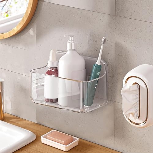 Diesisa Acrylic Wall Mount Organizer, Adhesive Shelf,Cabinet Door Organizer
