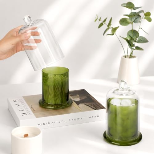rejomiik Qtip Holder Glass Apothecary Jars with Lids Bathroom Storage Green