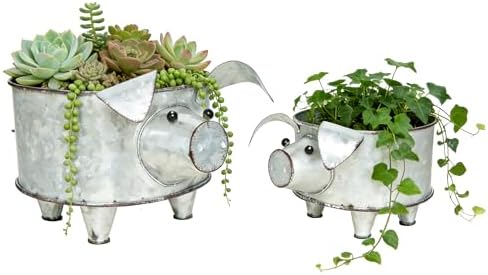 ShabbyDecor Galvanized Metal Pig Succulent Planter, Big and Small