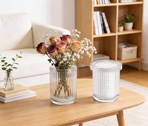 2‑Pack Clear Ribbed Glass Qtip Holder, Vanity & Bathroom Makeup Storage