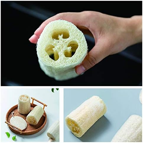Natural Loofah Sponge, Organic Luffa Body Scrubber Bath Exfoliating, 5 inch | Organic Loofa Pack, Lufas Luffa Plant-Based, For Men & Women Skin Care, Bath Shower Cleaning, Natural Sponges for Dishes