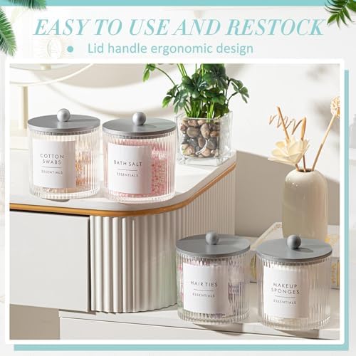 6 Pcs Plastic Holder Dispenser Bathroom Jars with Bamboo Lids, Silver
