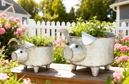ShabbyDecor Galvanized Metal Pig Succulent Planter, Big and Small