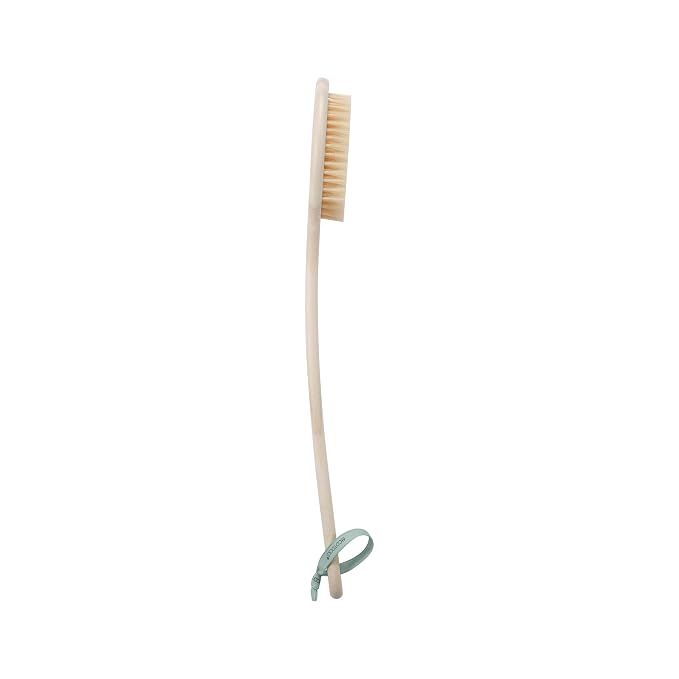 EcoTools Bristle Bath Brush, Shower Body Brush with Gentle, Stiff Bristles, Long Bamboo Handle, Gently Exfoliating for Back & Body, Stimulates Blood Circulation, Eco-Friendly, 1 Count (Pack of 2)