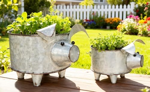 ShabbyDecor Galvanized Metal Pig Succulent Planter, Big and Small