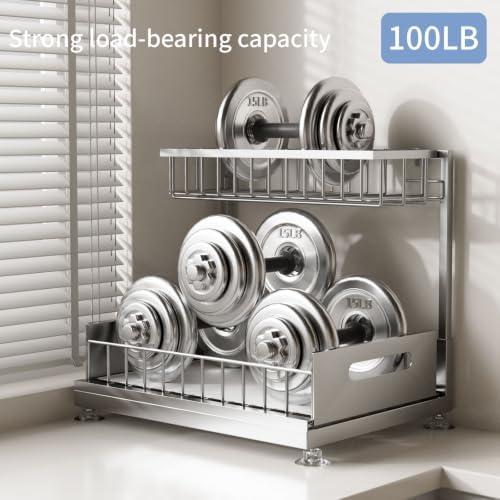 Saydear L-Shaped Under Sink Organizer, 2-Tier Pull-out Cabinet Rack 1-Pack