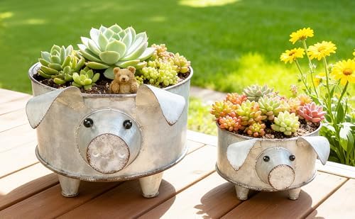 ShabbyDecor Galvanized Metal Pig Succulent Planter, Big and Small
