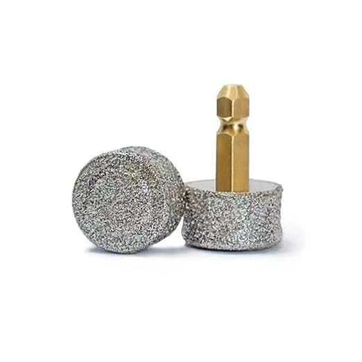 Pet Dog Nail Grinder Heads Extra-Coarse | 2Pcs for Casfuy Model N10, N20, N30, N50, N60, N65 (Not for Model N70 / N75 / N90)