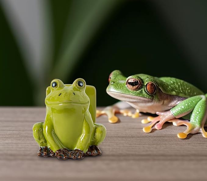 dgudgu Frog Sponge Holder for Kitchen Sink Cute Kitchen Sponge Holder Ceramic Kitchen Sink Sponge Holder Durable Sink Scrubber Holder