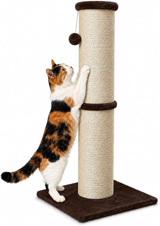 PAWSCRAT 32-Inch Tall Cat Scratching Post, 5.5-Inch Diameter, Sisal, Brown | Natural Sisal Scratching Surface with a Dangling Ball for Indoor Cats, Scratch-Resistant Durable and Protect Your Furniture
