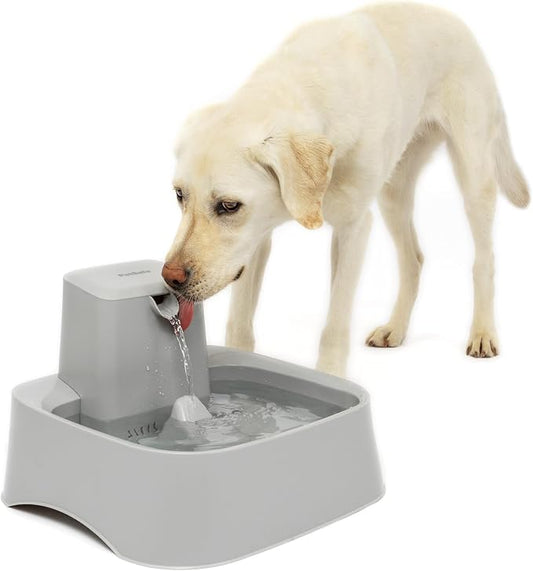 PetSafe Oasys Pet Fountain, 2 Gallon (256 oz), Cats, Dogs & Multi-Pet Homes | Adjustable Water Flow, Whisker-Friendly Tray, Dishwasher-Safe, Replaceable Carbon & Foam Filters Included