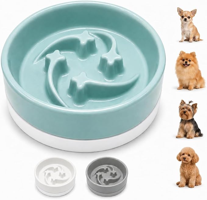 Ceramic Slow Feeder Dog Bowl, 0.6 Cup, Light Green Bowl&White Base | Shooting Star maze puzzle feeder with removable non-slip base; puppy bowl and cat slow feeder for daily dry or wet food