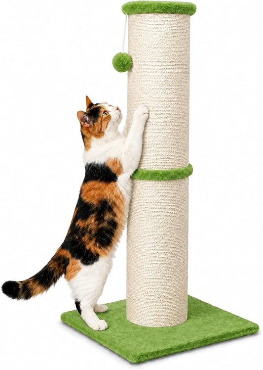 PAWSCRAT 32-Inch Tall Cat Scratching Post, 5.5-Inch Diameter, Sisal, Green | Natural Sisal Scratching Surface with a Dangling Ball for Indoor Cats, Scratch-Resistant Durable and Protect Your Furniture
