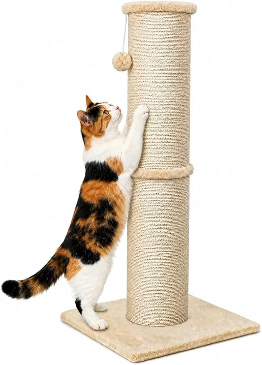 PAWSCRAT 32-Inch Tall Cat Scratching Post, 5.5-Inch Diameter, Sisal, Beige | Natural Sisal Scratching Surface with a Dangling Ball for Indoor Cats, Scratch-Resistant Durable and Protect Your Furniture