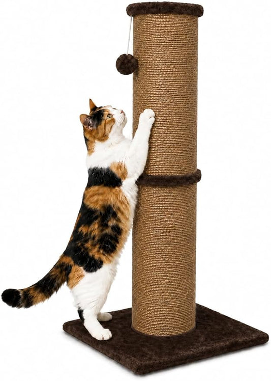 PAWSCRAT 32-Inch Tall Cat Scratching Post, 5.5-Inch Large Diameter, Sisal | Natural Sisal Scratching Surface with a Dangling Ball for Indoor Cats, Scratch-Resistant Durable and Protect Your Furniture