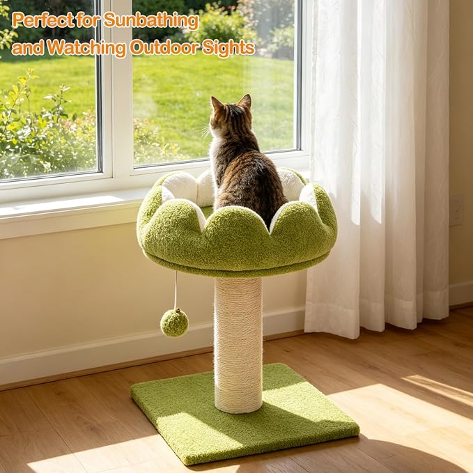 Flower Cat Scratching Post for Indoor Cats Scratcher with Bed | Comfortable & Removable Perch, Cute Cat Tree with Dangling Ball, Sisal Scratching Post, Simple Assembly & Stability
