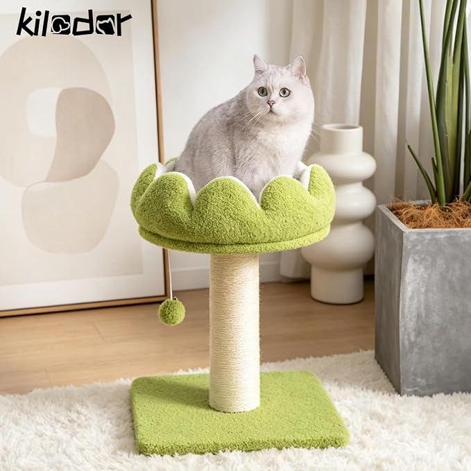 Flower Cat Scratching Post for Indoor Cats Scratcher with Bed | Comfortable & Removable Perch, Cute Cat Tree with Dangling Ball, Sisal Scratching Post, Simple Assembly & Stability