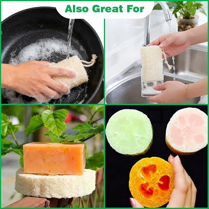 Natural Loofah Sponge, Organic Luffa Body Scrubber Bath Exfoliating, 5 inch | Organic Loofa Pack, Lufas Luffa Plant-Based, For Men & Women Skin Care, Bath Shower Cleaning, Natural Sponges for Dishes