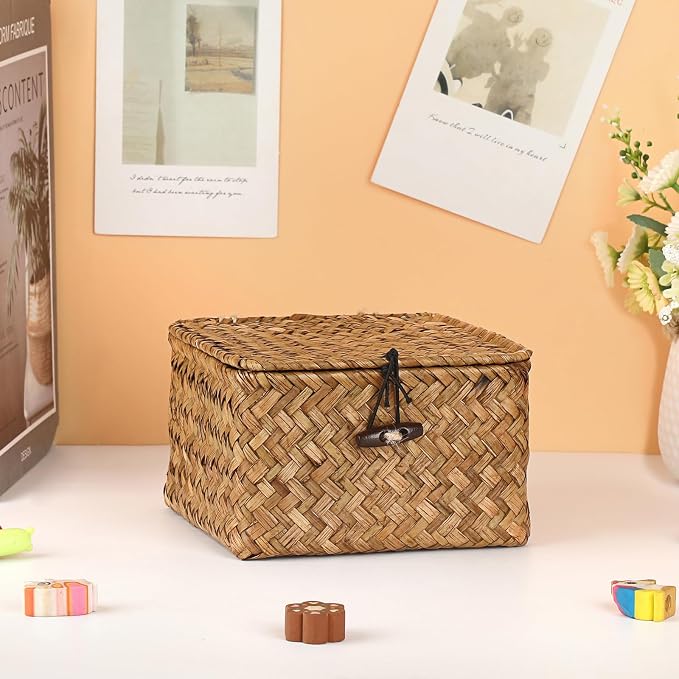 Hipiwe Wicker Shelf Baskets Bins with Lid Handwoven Seagrass Storage Basket Multipurpose Household Organizer for Shelves Home Decor, Caramel Color, X-small