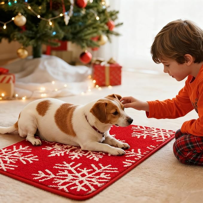 TYUU Christmas Bathroom Rugs, Extra Soft Absorbent Bath Rug Non Slip Washable Bathroom Mat Holiday Xmas Home Decor Indoor Bath Mat, Snowflake, 24"x36"