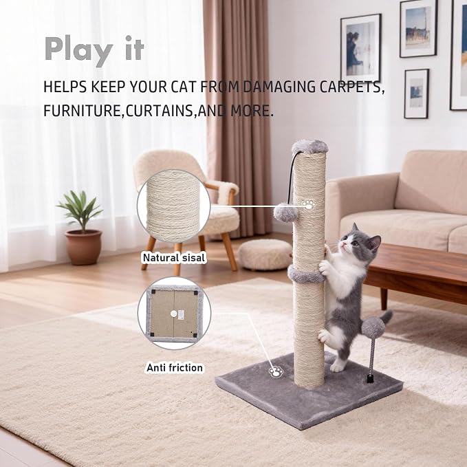 MECOOL Cat Scratching Post Premium Basics Kitten Scratcher Sisal Scratch Posts with Hanging Ball 22" for Kittens or Smaller Cats (22 inches for Kitten, Gray)