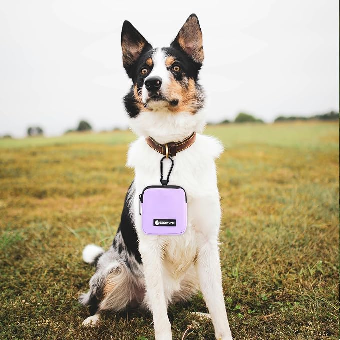 Dog Treat Pouch Pocket Sized Pet Puppy Training Pouch for Dog Training Behavior Aids, Waterproof Nylon Fabric Dog Poop Bag Holder, Hands Free Dog Walking Bag with Metal Carabiner (Violet)