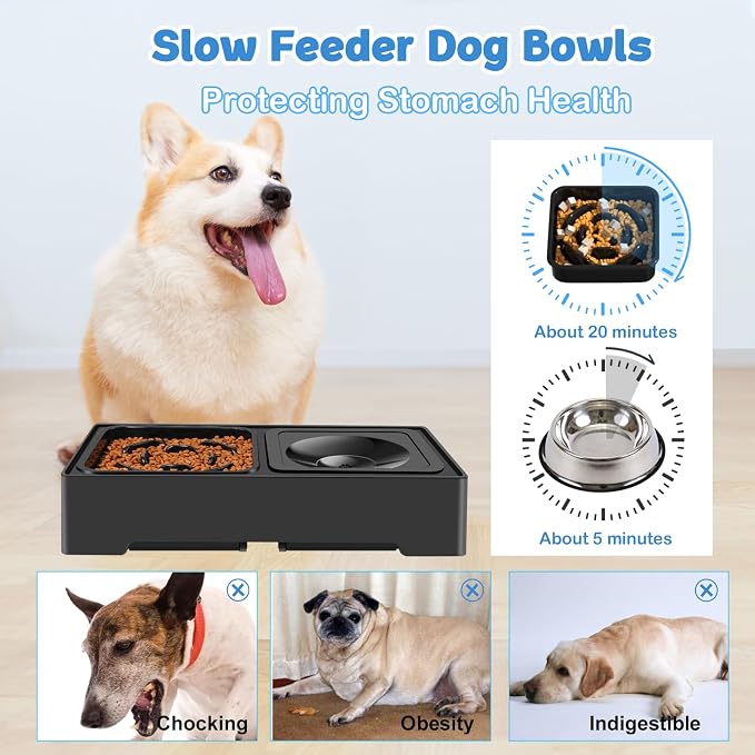 2-in-1 Elevated Dog Bowls, No Spill Water Bowl, Slow Feeder Food Bowl | 4 Adjustable Heights, Food and Water Bowl Set, Non-Skid, Raised Pet Bowl Stand for Medium Large Dogs, Slow Eating, Easy Setup
