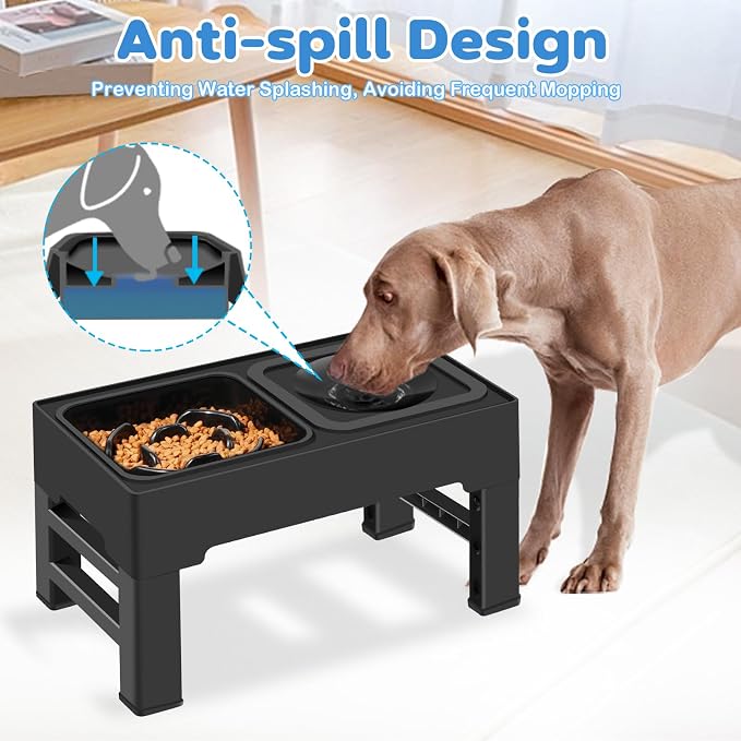 2-in-1 Elevated Dog Bowls, No Spill Water Bowl, Slow Feeder Food Bowl | 4 Adjustable Heights, Food and Water Bowl Set, Non-Skid, Raised Pet Bowl Stand for Medium Large Dogs, Slow Eating, Easy Setup