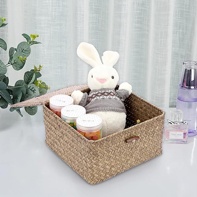 Hipiwe Wicker Shelf Baskets Bin with Lid Handwoven Seagrass Storage Basket Container Square Multipurpose Household Basket Boxes for Shelves and Home Organizer, Coffee Medium