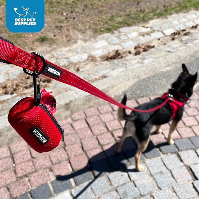 Best Pet Supplies Dog Poop Bag Holder Leash Attachment with Reusable Dispenser for Travel, Walking, Park, and Outdoor Use, Durable with Clip-On - Pink, Pack of 2, Mesh Dispenser w/30 Bags