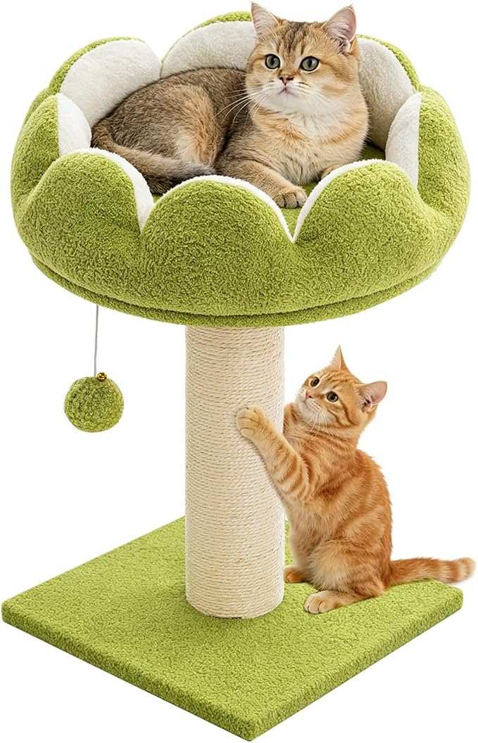 Flower Cat Scratching Post for Indoor Cats Scratcher with Bed | Comfortable & Removable Perch, Cute Cat Tree with Dangling Ball, Sisal Scratching Post, Simple Assembly & Stability