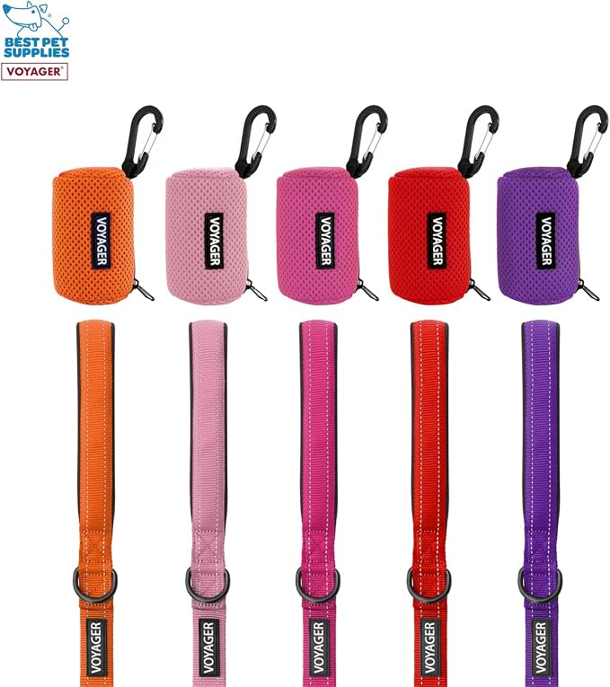 Best Pet Supplies Dog Poop Bag Holder Leash Attachment with Reusable Dispenser for Travel, Walking, Park, and Outdoor Use, Durable with Clip-On - Pink, Pack of 2, Mesh Dispenser w/30 Bags