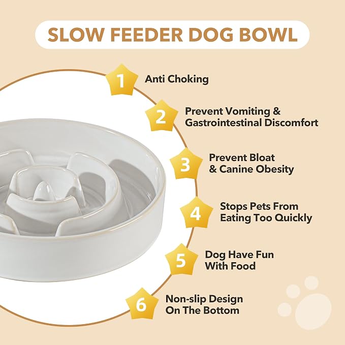 Havniva Raised Slow Feeder Dog Bowls, Elevated Dog Bowls Slow Feeder Set | 1.6 Cups Ceramic Dog Bowl Elevated with Acacia Wood Stand, Raised Dog Food Bowl, Puzzle Slow Feeder for Medium Dogs, Non-Slip