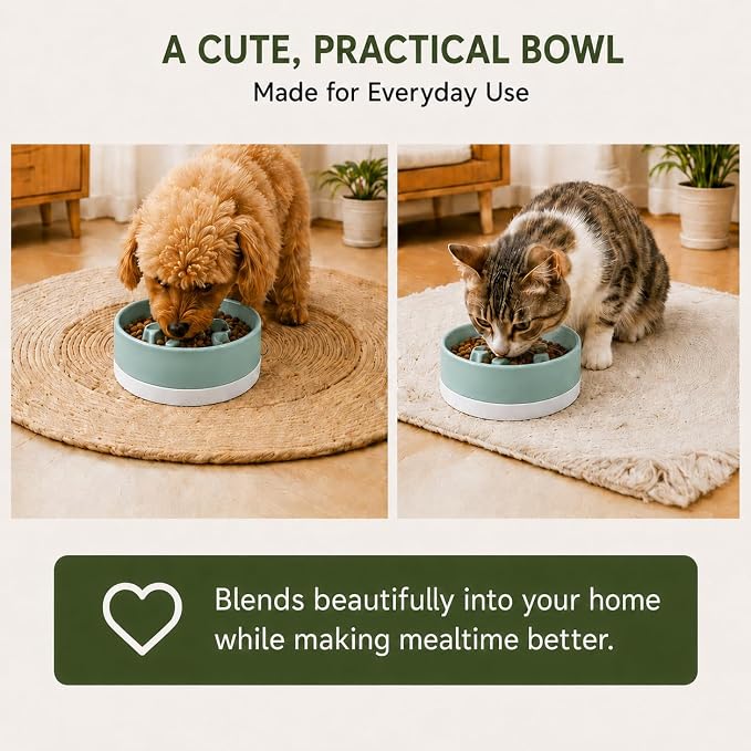 Ceramic Slow Feeder Dog Bowl, 0.6 Cup, Light Green Bowl&White Base | Shooting Star maze puzzle feeder with removable non-slip base; puppy bowl and cat slow feeder for daily dry or wet food