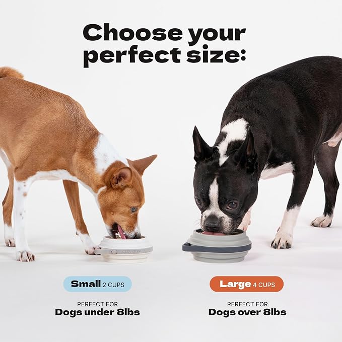 Nomad Large Collapsible Travel Dog Bowl - 4 Cup BPA-Free Silicone for Medium & Large Dogs, Portable, Food & Water, Dishwasher Safe - Sand