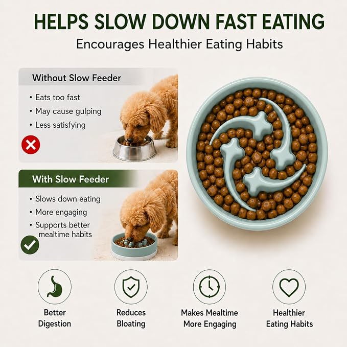 Ceramic Slow Feeder Dog Bowl, 0.6 Cup, Light Green Bowl&White Base | Shooting Star maze puzzle feeder with removable non-slip base; puppy bowl and cat slow feeder for daily dry or wet food