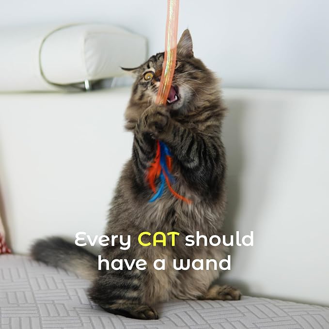 Cat Toys for Indoor Cats, Interactive Cat Wand Toy 3 Pack with Feathers, Mesh Tube, Bell & Pom Pom, Cat Teaser Wand, Cat Fishing Pole Toy for Kittens and Adult Cats
