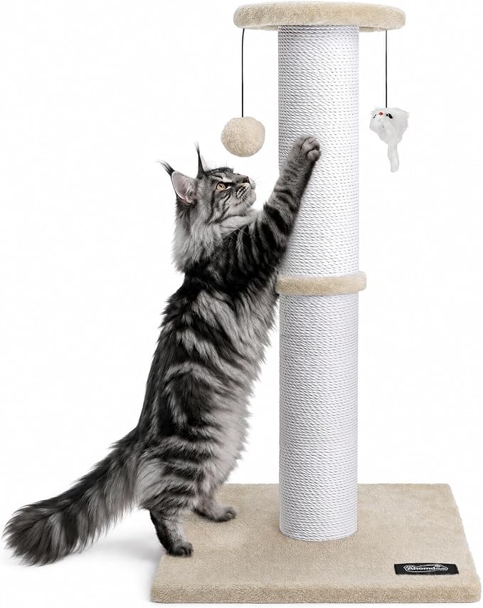 34-Inch Tall Cat Scratching Post for Large Cats, Stable Base, Beige | Heavy-Duty Cat Scratcher, Extra-Tall Thick Post, Soft Natural Cotton Rope, Hanging Interactive Cat Toys, Indoor Cat Furniture
