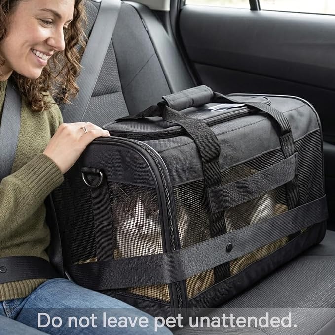 Conlun Dog Carrier Soft Sided, Large Cat Carrier up to 20 Lbs,Pink L | with Inner Safety Leash, Pet Transport Carrier for Large Cats and Medium Dog, Collapsible Puppy Carrier Bag