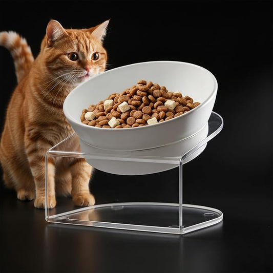 Raised Cat Bowl, 15° Tilted, 4.5 in High, White | 15° tilted shallow melamine bowl on a 4.5 in raised stand supports comfortable feeding and reduces whisker contact.