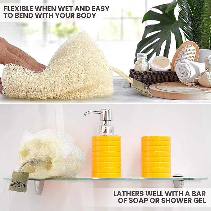 ALMOONI Natural Loofah Body Scrubber, Egyptian Loofah Sponge, 2 Count | Natural Egyptian Loofah Sponge, Round Shape Shower Sponge for Face & Body, Men & Women, Gentle Exfoliation, Large Size
