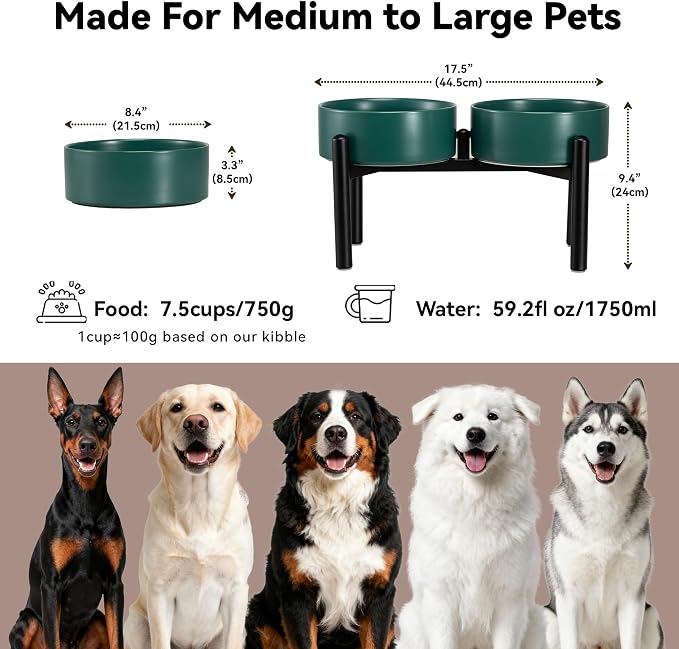 Raised Ceramic Dog Bowl Set with Stand, 7.5 Cups Elevated Dog Food Stand | 8.4'' Double Dog Food and Water Bowl Set, Non-Slip Dog Feeding Dishes for Small Breeds and Cats, 59.2 OZ, Green