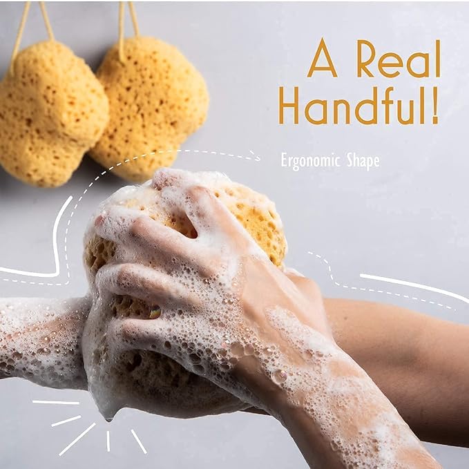 myHomeBody Bath Sponge, Foam Loofah, Shower Sponge for Body, Curvy, 3 Pack | Large Size, Lots of Lather, Bath Sponges for Shower, Body Scrubber for Bathing, Body Wash Women, Exfoliating Loofah Sponge