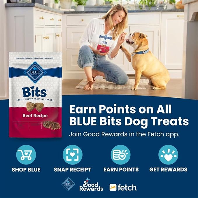 Blue Buffalo Bits Beef Training Treats, 11 oz | Real Beef First, DHA for Cognitive Development, No Chicken By-Product Meals, Free from Red Dye 40