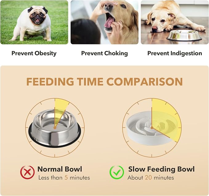 Havniva Raised Slow Feeder Dog Bowls, Elevated Dog Bowls Slow Feeder Set | 1.6 Cups Ceramic Dog Bowl Elevated with Acacia Wood Stand, Raised Dog Food Bowl, Puzzle Slow Feeder for Medium Dogs, Non-Slip